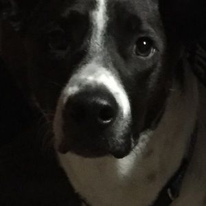 Meet your Posher, Nicole christine